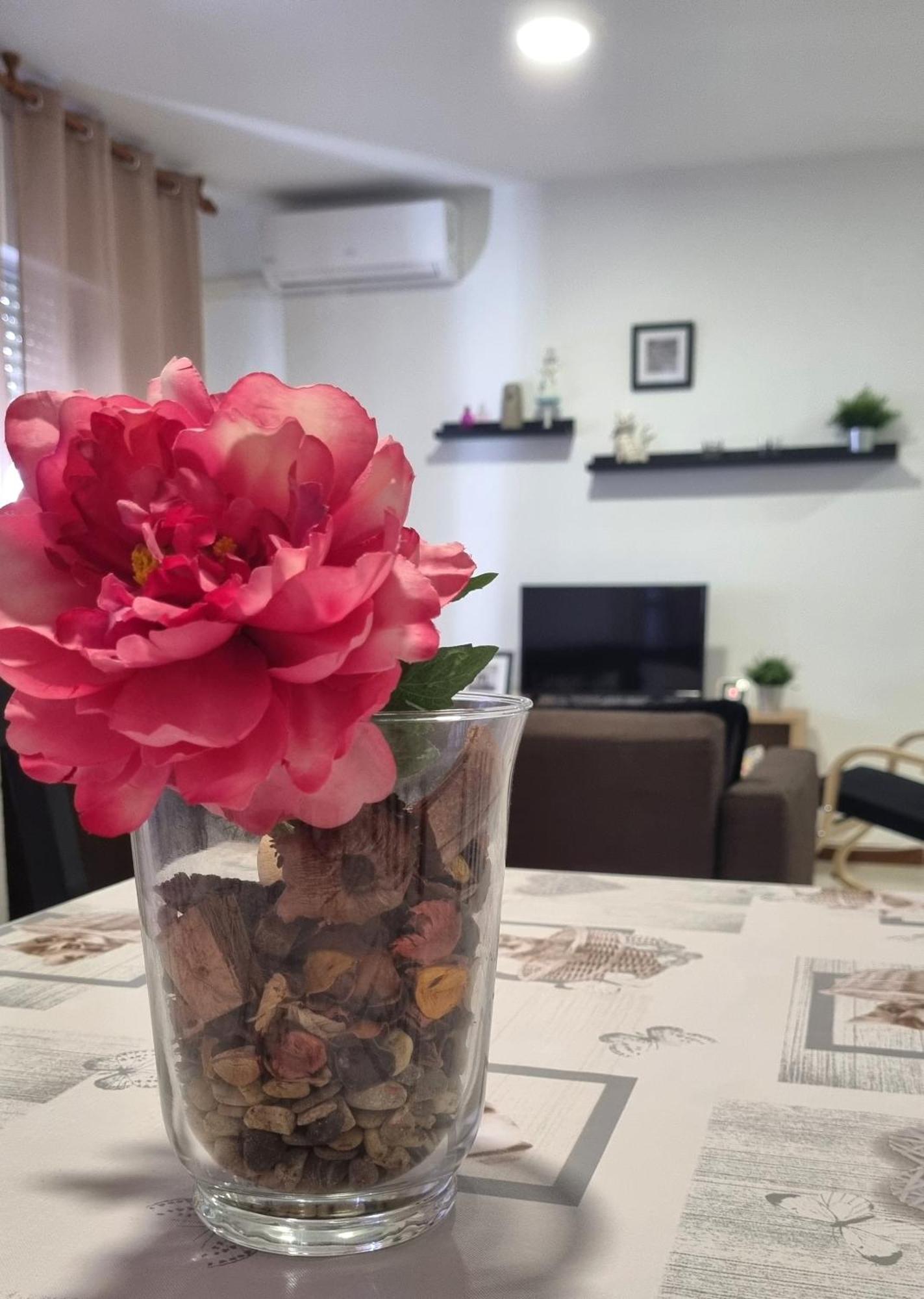 Apartamento Cayetano روتا المظهر الخارجي الصورة